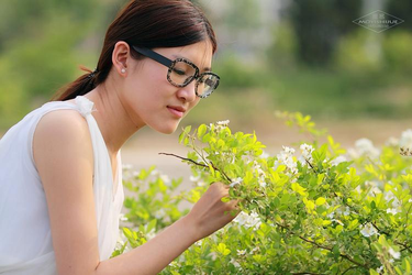 欧美社区安装步骤示意图